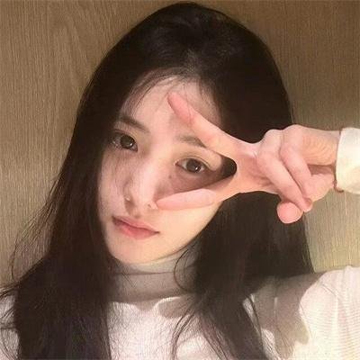公主复仇者